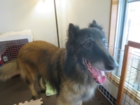 5月26日の記事 2017/05/26 15:43:20
