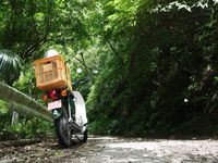 お初にお目にかかります 2013/06/24 08:58:56