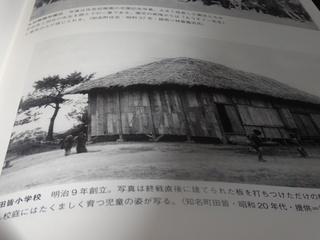 ２０１４ウミガメ観察会リーフレット完成　5月30日初観察会