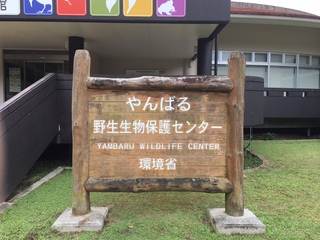 那覇に行ってきました。