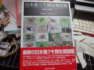 沖縄生物倶楽部:日本産クモ類生態図鑑