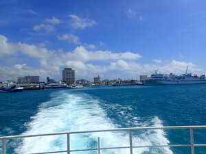 西表島（仕事です！）