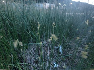 贅沢時間24 アカマタな夜