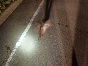 贅沢時間24