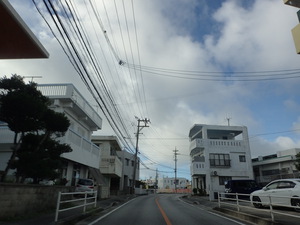 N町内間御殿自然観察会