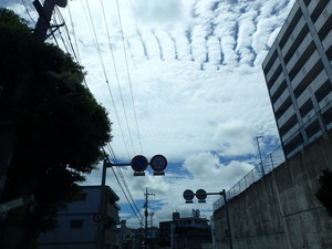 観察会打合せふたーつ　南部