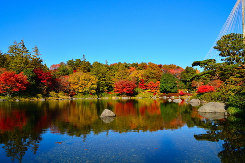 国営昭和記念公園｜東京都