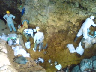 サキタリ洞の発掘調査　再開