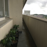 小鳥かわいい 2018/08/22 18:00:39