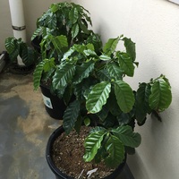 小夏休み明け 2018/08/28 16:51:42