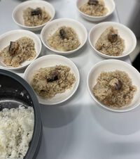 カゼイン・グルテン・糖質を控えてみる 2022/07/23 18:01:12