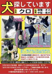 迷子犬さがし 2023/03/24 23:15:57