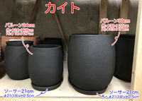 鉢が今なら豊富です！ 2021/01/20 18:49:35