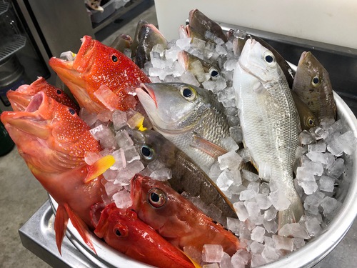 とりたて ながじゅーみーばいの魚汁 ご提供します とれたての魚料理が美味しいお店 沖縄糸満市の食工房まほろば