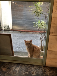 臨時休業 2019/09/21 08:19:17
