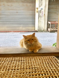 今年も一年ありがとうございます。 2019/12/31 11:48:45