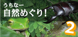 生き物紹介ブログ「うちなー自然めぐり！ 2」密かに再始動