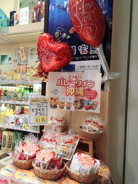 2015年2月19日は休館日 2015/02/05 21:18:36