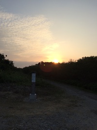 珊瑚の島 2015/02/19 09:29:57