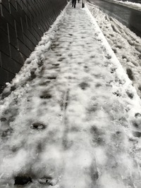 横浜店、猫、増殖中 2016/01/18 19:10:00