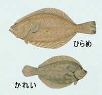みやぎ農園の手造りEMマヨネーズ 2015/05/26 22:00:10
