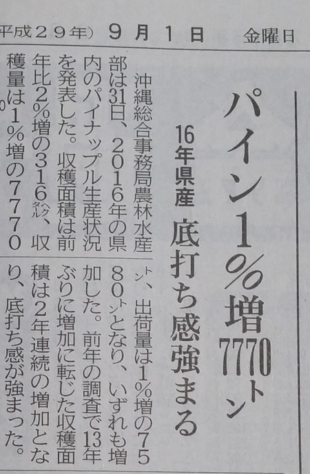 パイン生産量が増えています。