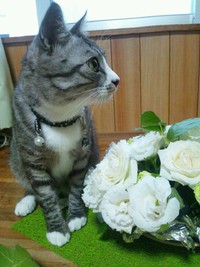 お引越し♪ 2013/06/13 17:52:00
