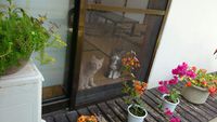 気晴らし＆癒し 2014/04/12 23:15:00