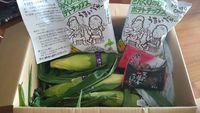 とうきびっ♪ 2014/08/16 23:45:20