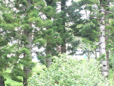 カゼ・風・煙・艶