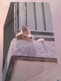 天国へ・・ 2013/07/16 21:59:46