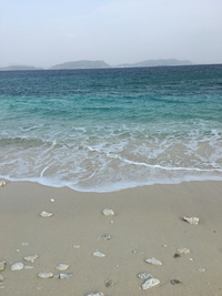 県民は何億もかけて辺野古の海を守りたいんですね。