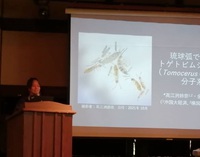 卒業生の高江洌鈴奈さんが土壌動物学会で発表