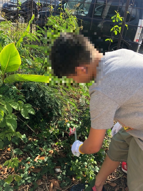 公園周辺②