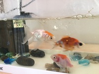 更新（笑） 2019/07/10 11:06:55