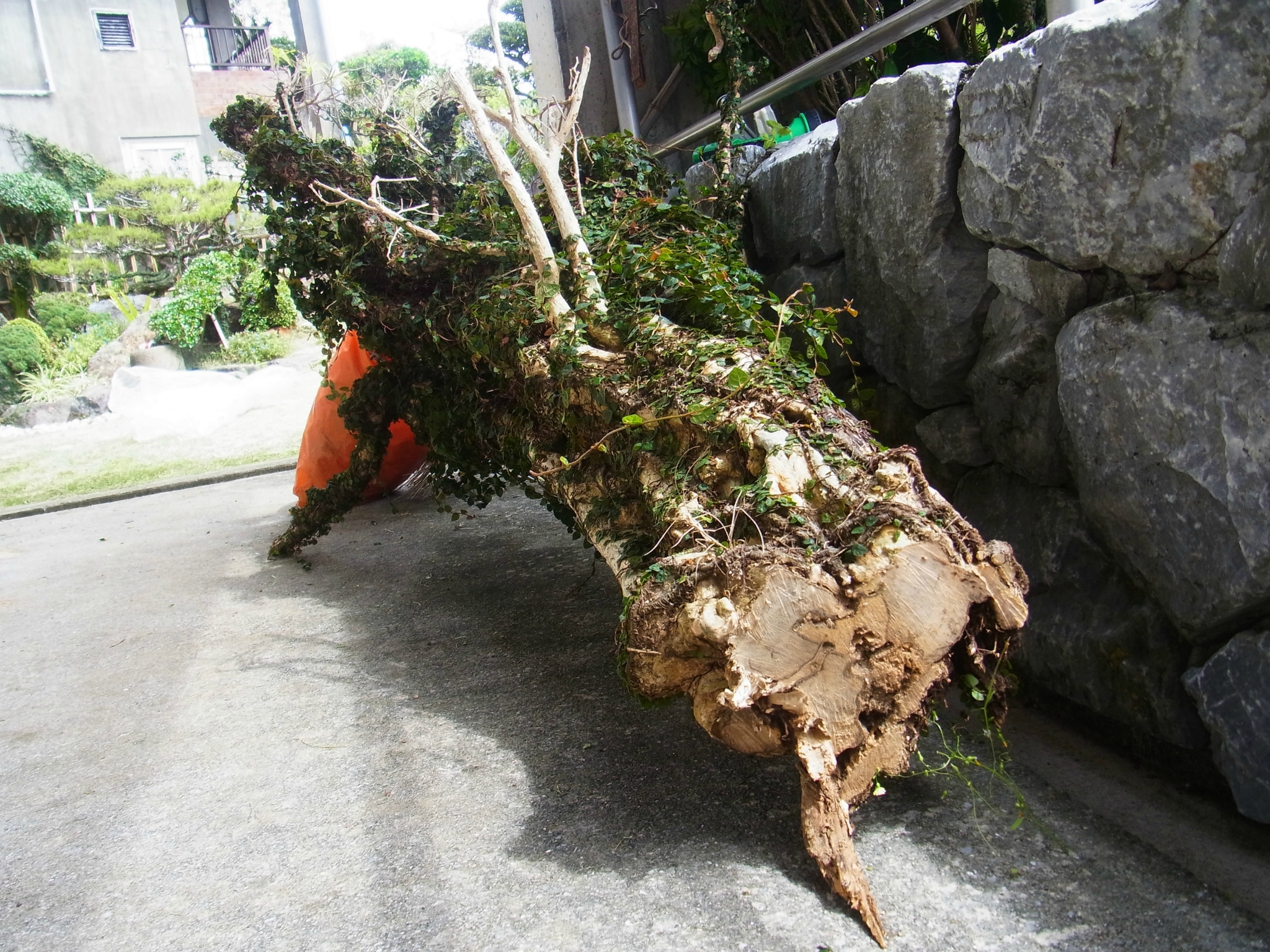 最近のｗｏｒｋｓ