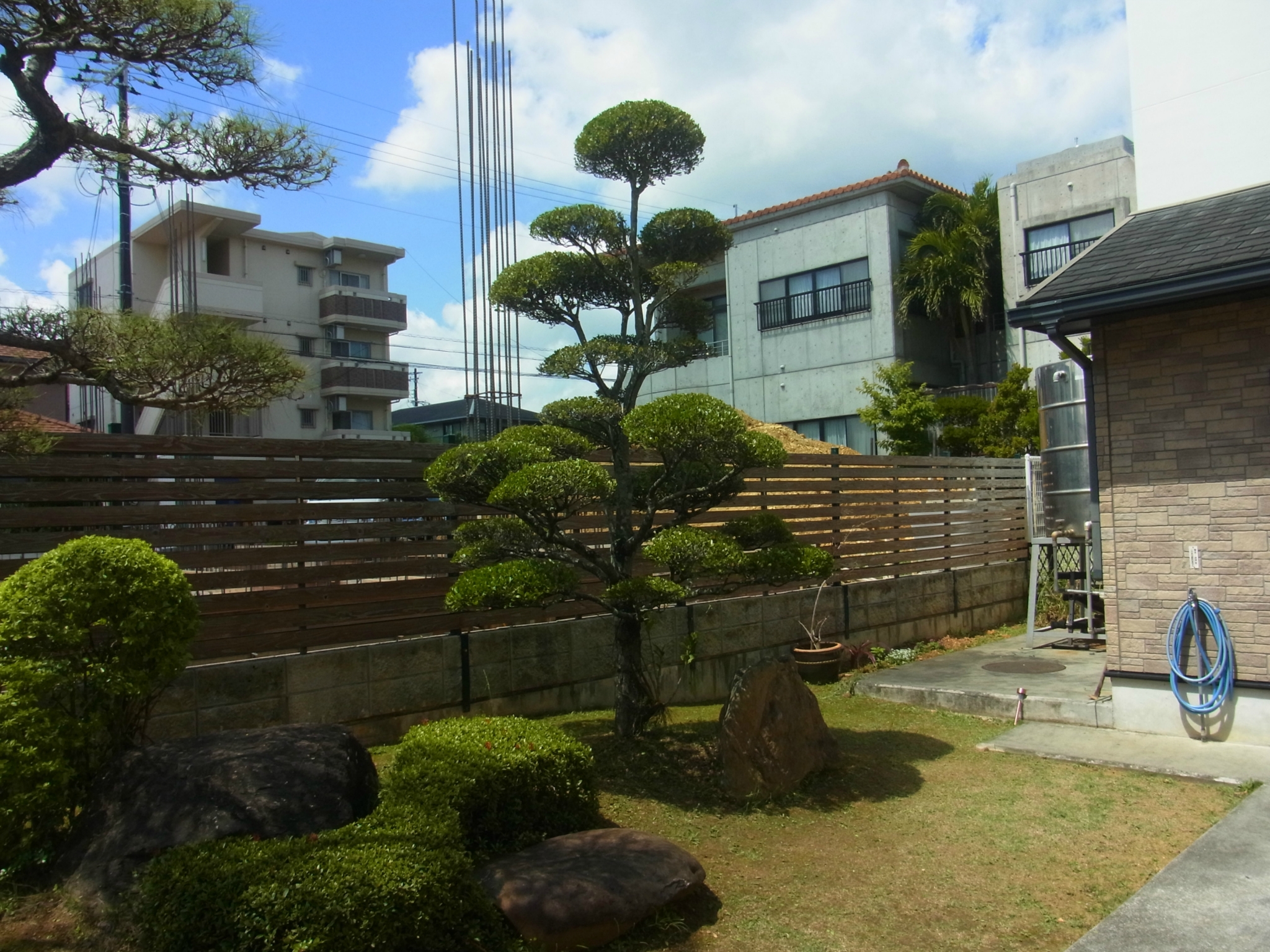 最近のｗｏｒｋｓ