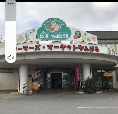 JAおきなわ北部地区女性部そば打ち体験記ヾ(•ω•`)o