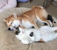 心から安心して