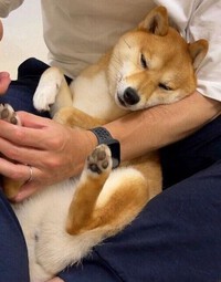 心から安心して