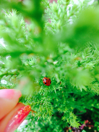 春ですね(●´ー｀●)