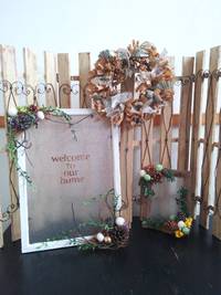 nikoniko-plantsです 2015/02/27 19:32:27