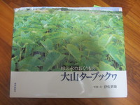 第２回　　大山田芋畑散策会のご報告 2013/12/20 09:00:00