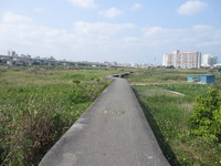 春です！はる（畑）です！ 2014/03/20 11:17:43