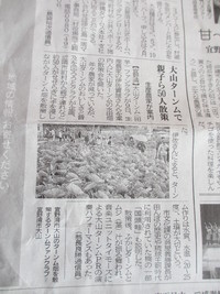 2014年2月15日付沖縄タイムス 2014/02/17 13:41:20