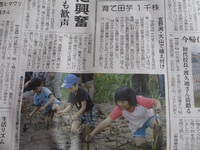 ５/８付け　沖縄タイムス記事掲載！ 2013/05/13 11:44:02