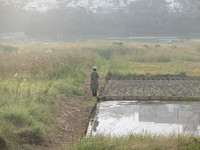 朝の風景 2013/12/17 09:00:00