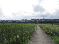 明日は散策会♪ 2013/09/28 21:19:19