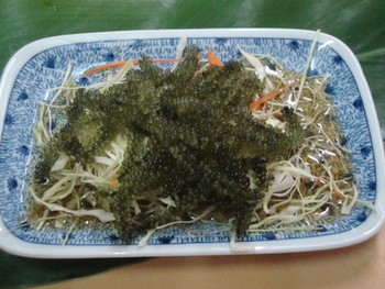 今日も暑かったですね