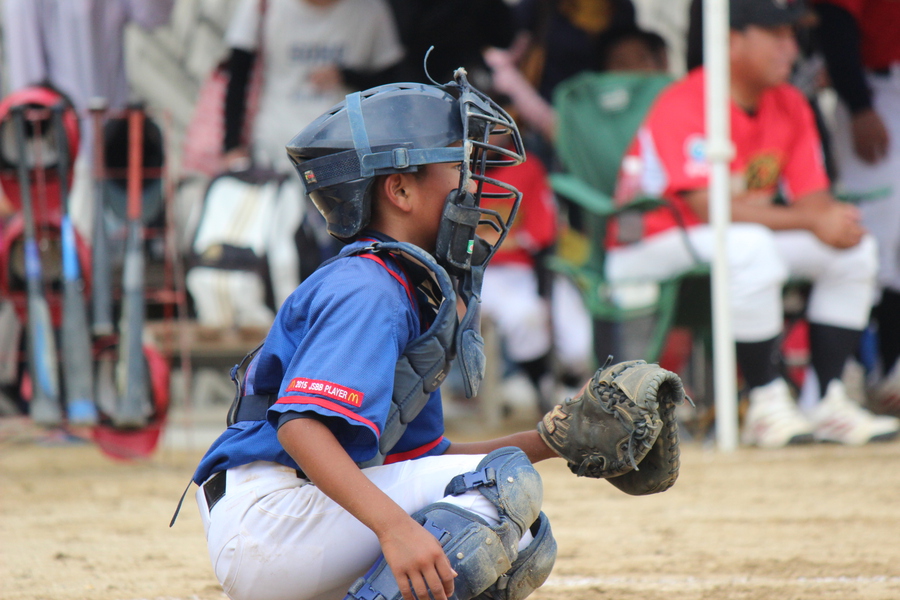 南部Ａ夏季大会（Ｂクラス）　２日目：2015年5月30日（土）